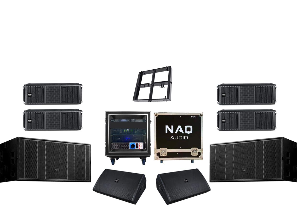 NAQ AUDIO DT210 LINE ARRAYS BUNDLE #5