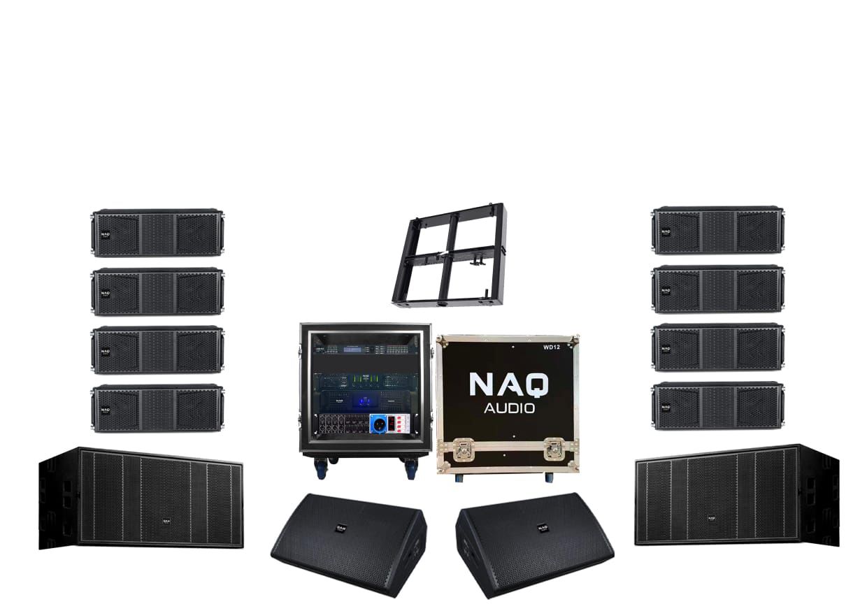 NAQ AUDIO DT210 LINE ARRAYS BUNDLE #4