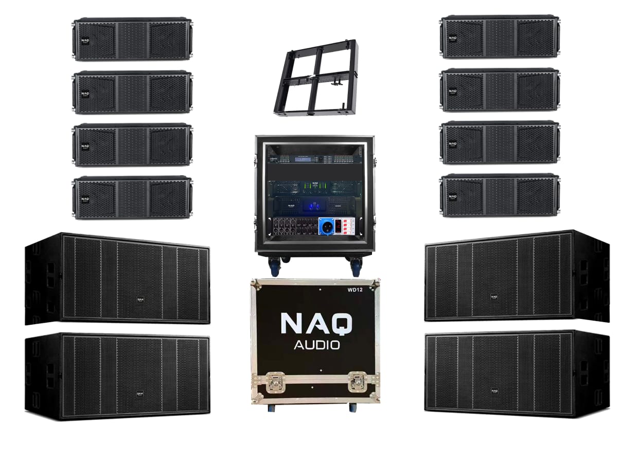 NAQ AUDIO DT210 LINE ARRAYS BUNDLE #1